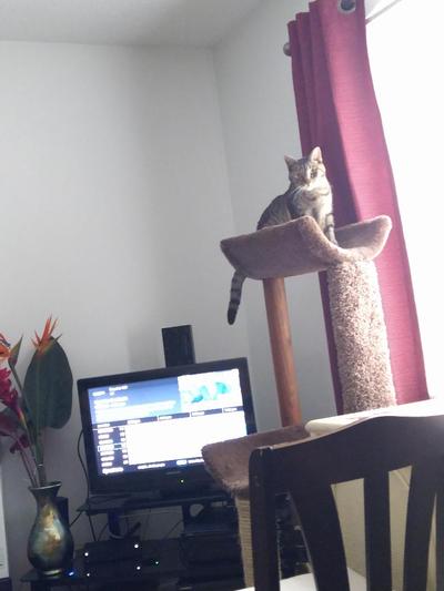 looking over her kingdom