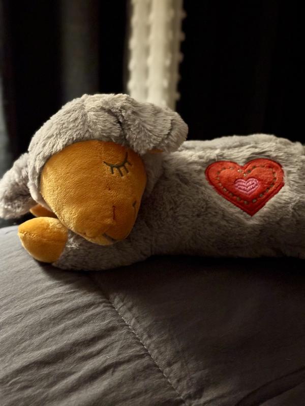 The sheep is adorable and washable