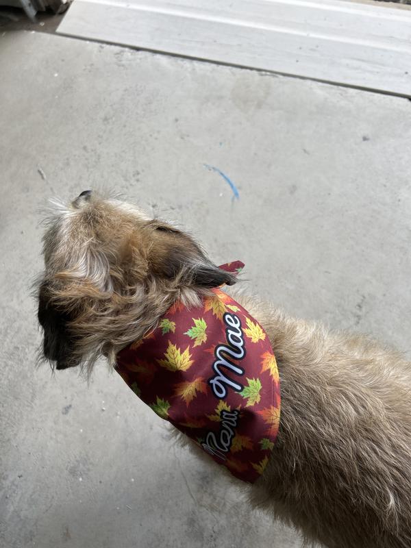 I’m ready to chase squirrels!