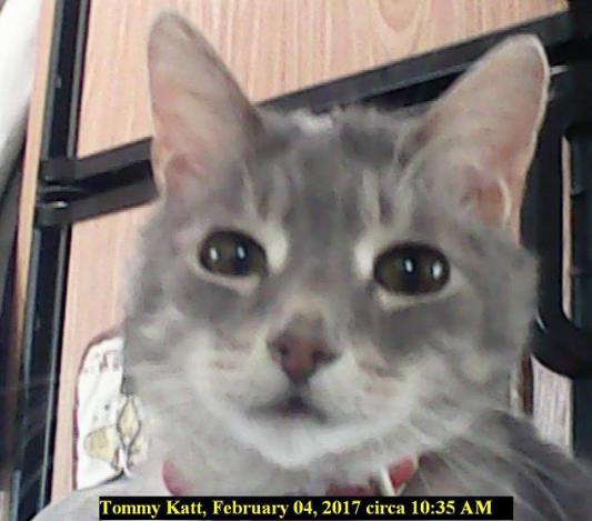 Beloved Tommy finally laid to rest.