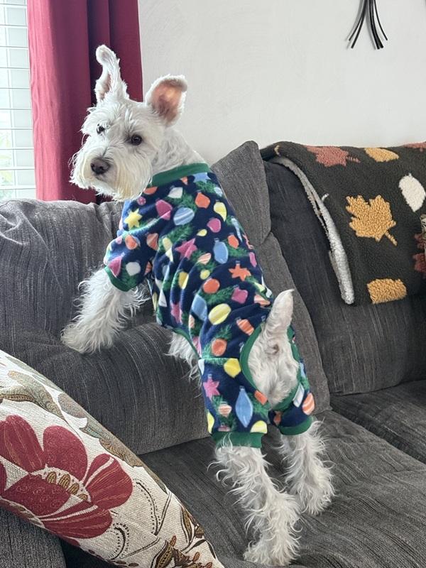 Gracie showing off her new Christmas outfit