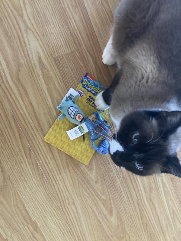 Chip says thanks!