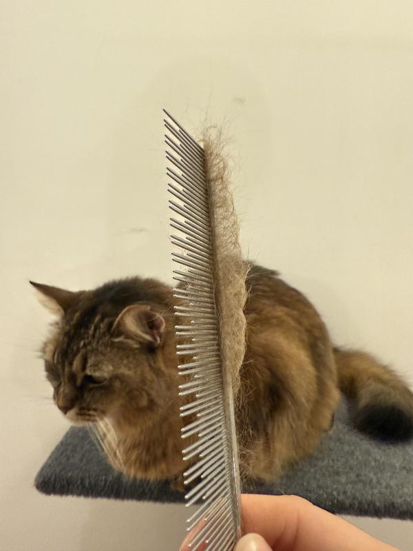 Works great for my Somali’s coat