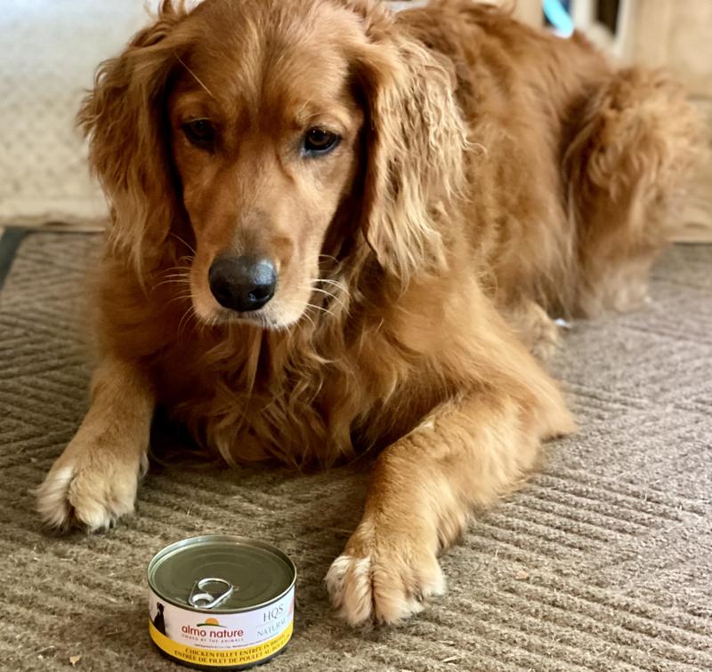 She’s confused about why it’s not open. Just wait for dinner time!