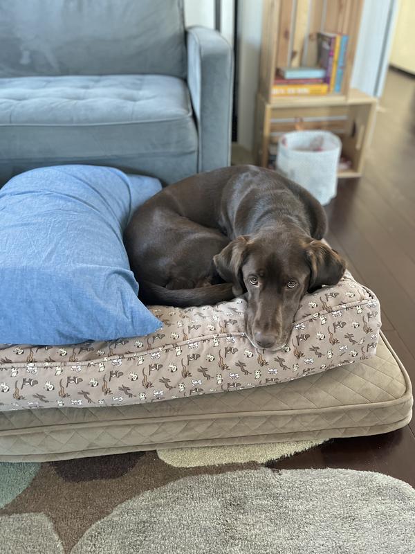 FRISCO Quilted Orthopedic Pillow Cat & Dog Bed w/Removable Cover, Gray ...