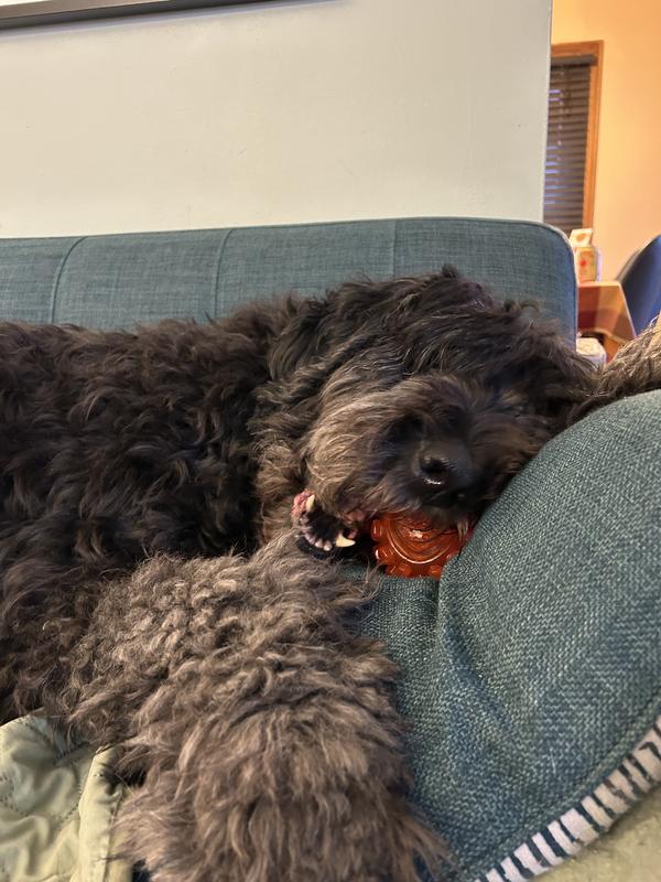 She’s asleep in this photo.