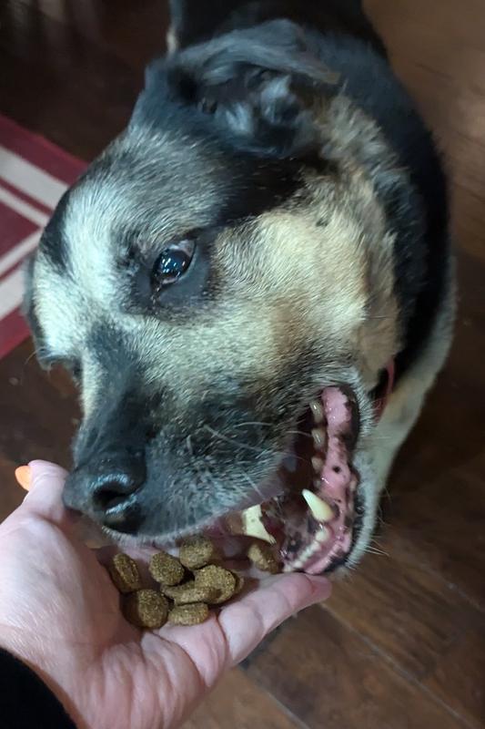 Oh yeah, that was yummy, give me more