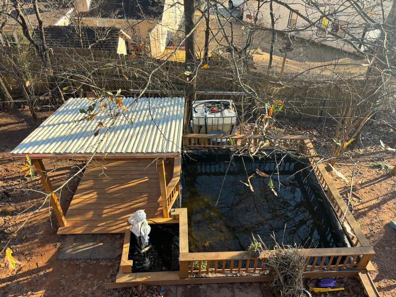 Beautiful environment for the koi