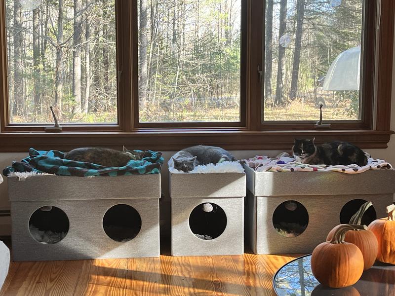 FRISCO Double Cube Stackable & Collapsible Cat Condo, Gray - Chewy.com