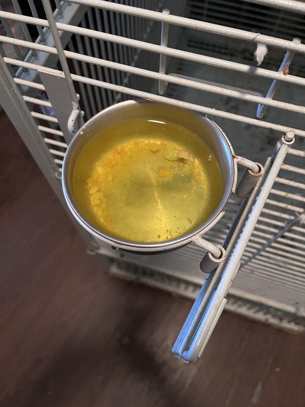 Powder is dissolves easy