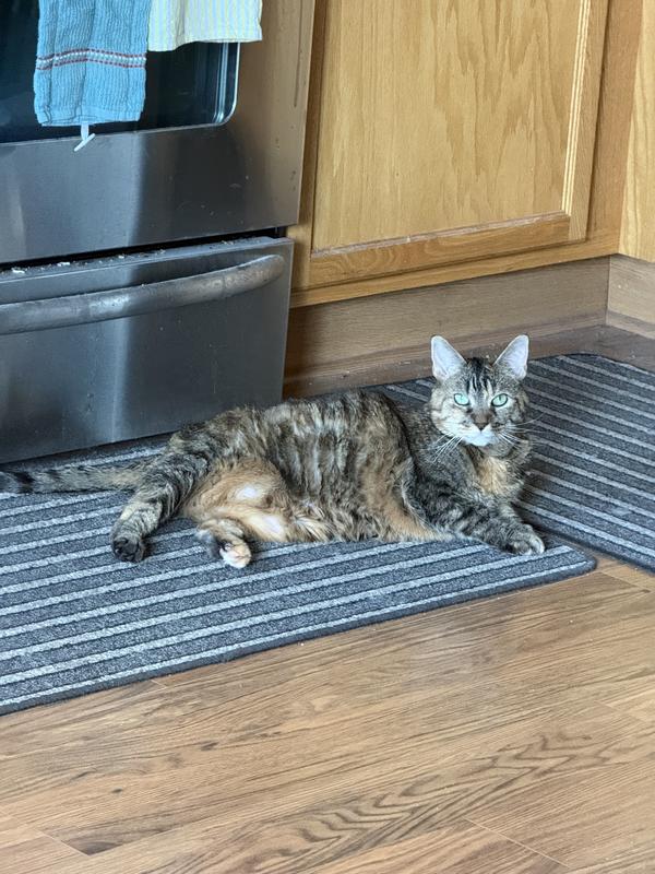 Penny Lane waiting on her snacks with tidbits.