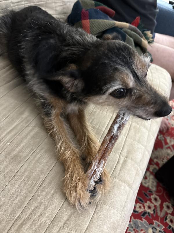 “I’m Danny, and I approve this pizzle!