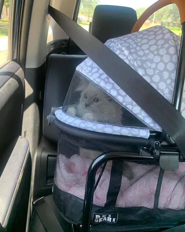 PET GEAR View 360 Booster Travel System Dog & Cat Carrier, Grey Animal