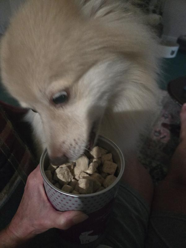 Inhaling the chicken snacks