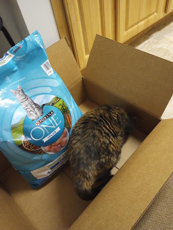 She jumped in the box when the shipment came!!