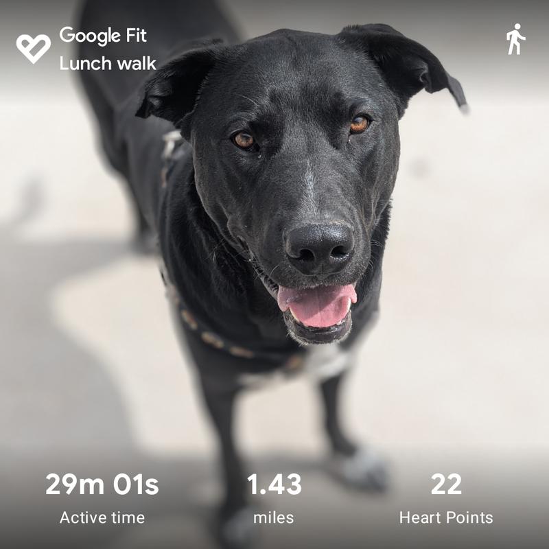 hi I’m Sam. I just got back from my walk.