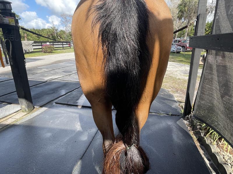 Tail always makes a dramatic exit