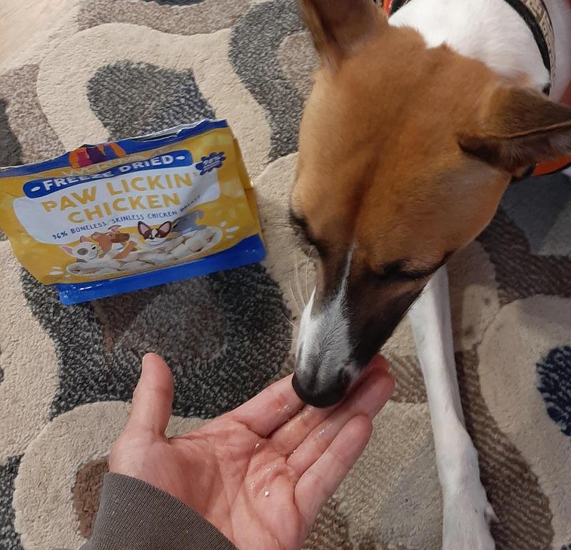 She ate the pieces so fast out of my hand.