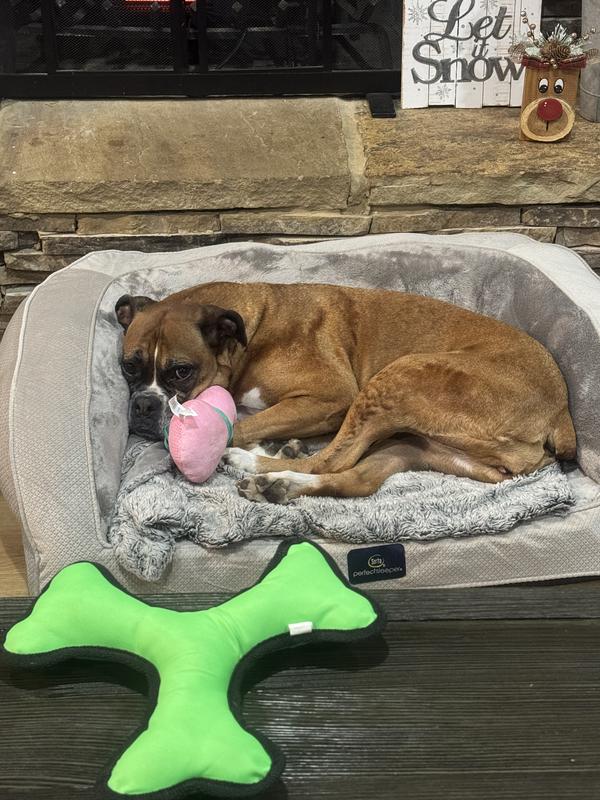 Rayne settled in with her snowman