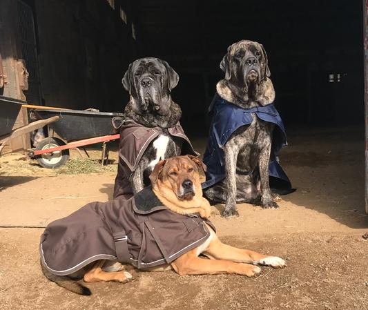 My buddies