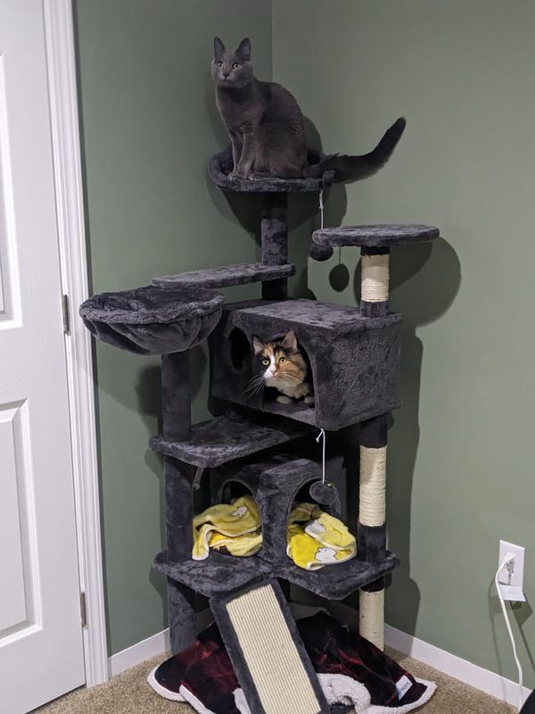 Yaheetech 57-in Plush Cat Tree & Condo, Navy Blue - Chewy.com