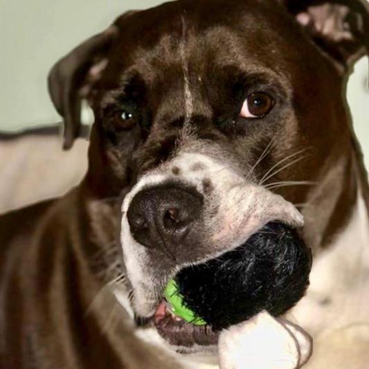 Owen with his stuffy!
