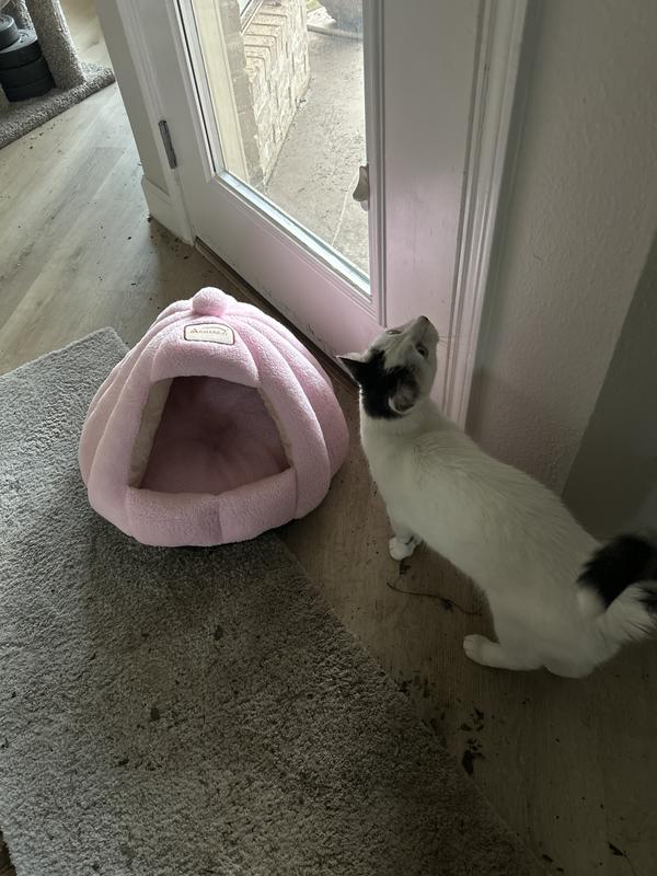 My 10.5 lb cat can’t fit half his body in this small bed :(
