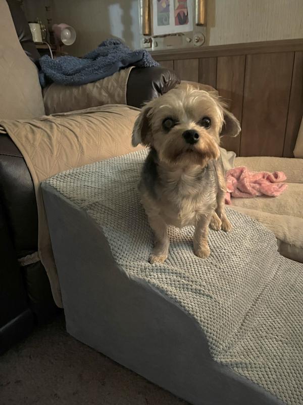 Penny sitting on her steps. She got them for her Birthday.