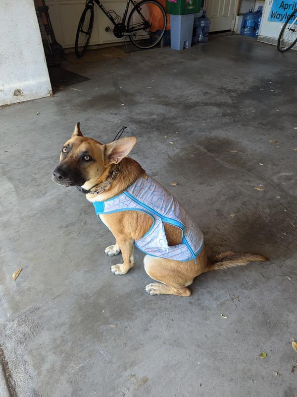 You can see the zipper pulling away from the vest in this photo