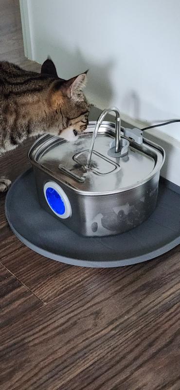 Murphy approved!