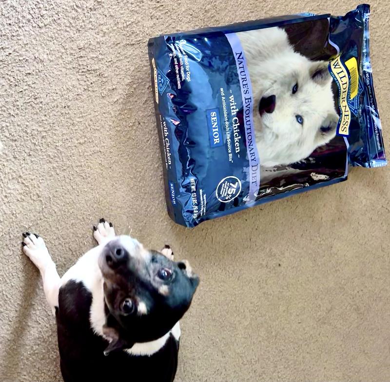 Blue buffalo high hotsell protein dog food review