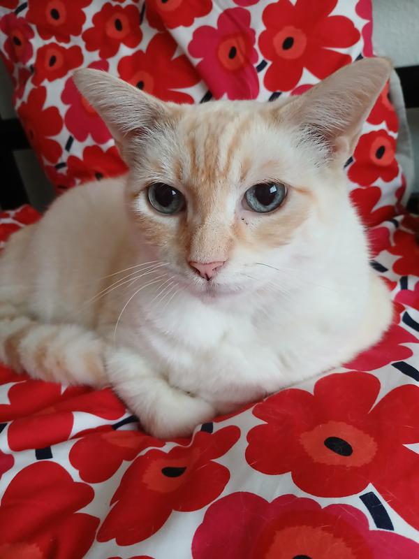 Tommy, age 8♡♡♡♡