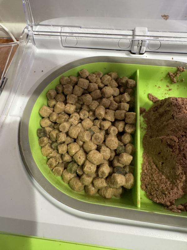 Soaked for at least 8 hours