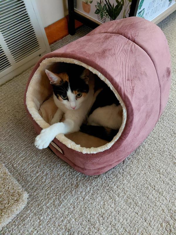 her favorite spot for cold weather.