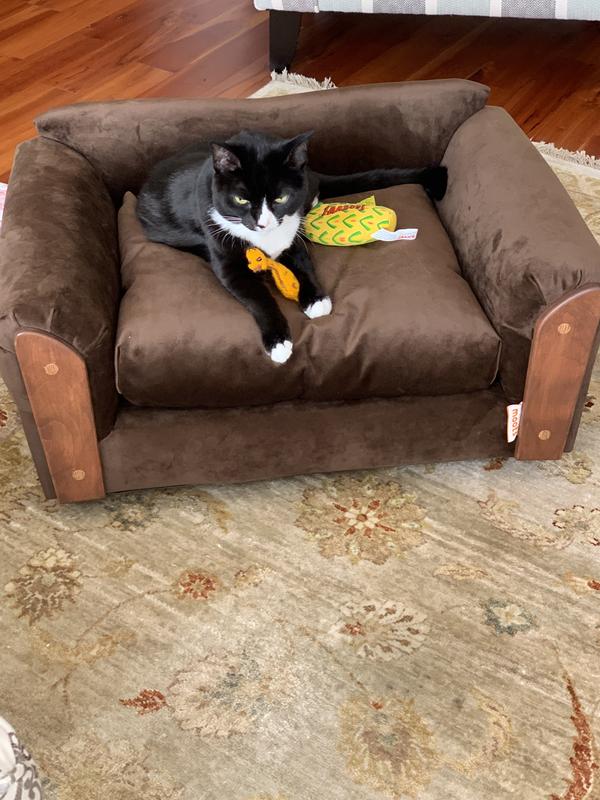 Baci loves her new couch. She spends a lot of time lounging on it and sleeping on it in front of the fireplace. She was immediately enthralled with having her own couch!