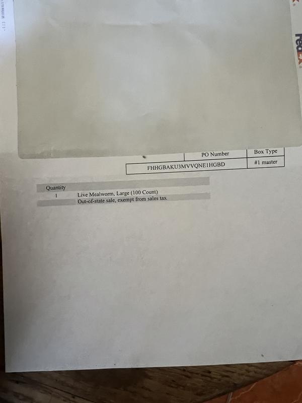 My recipe showing I ordered large