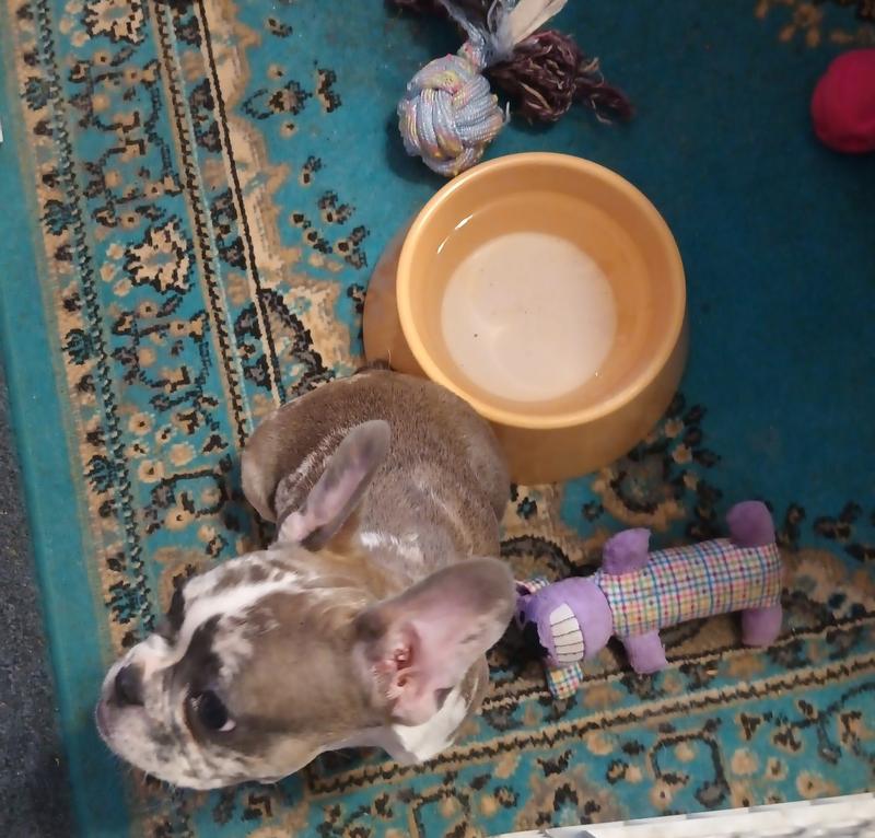 Well it it here yet!