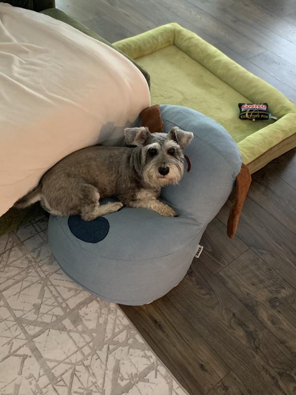 It’s too small for my 22-pound Schnauzer, Cookie.