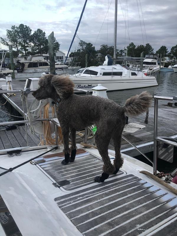 Ready to sail!