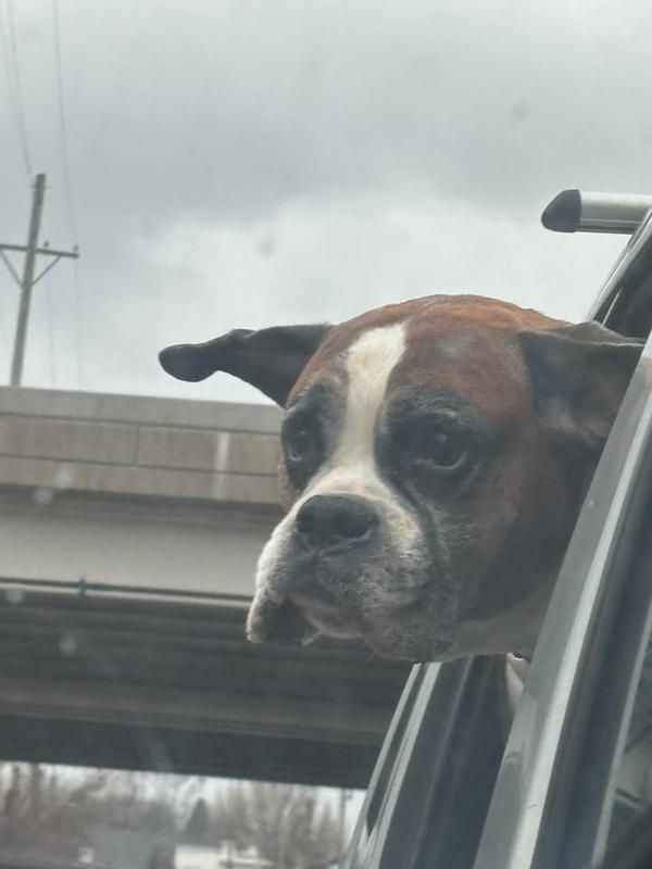 Bronx says thanks!!!!