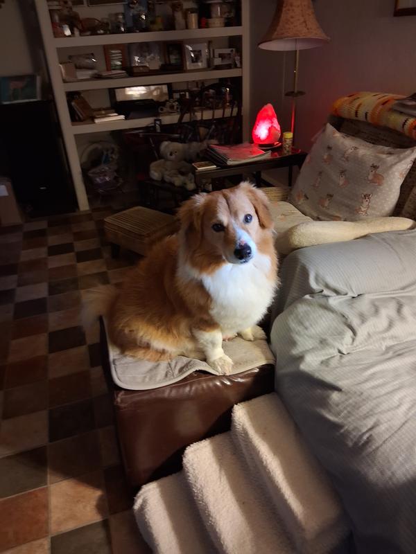 Just what we needed.