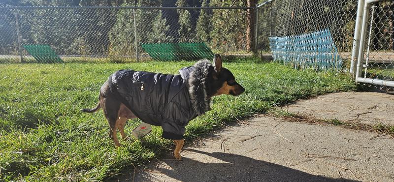 Provides protection for legs and belly, but only if it's dry