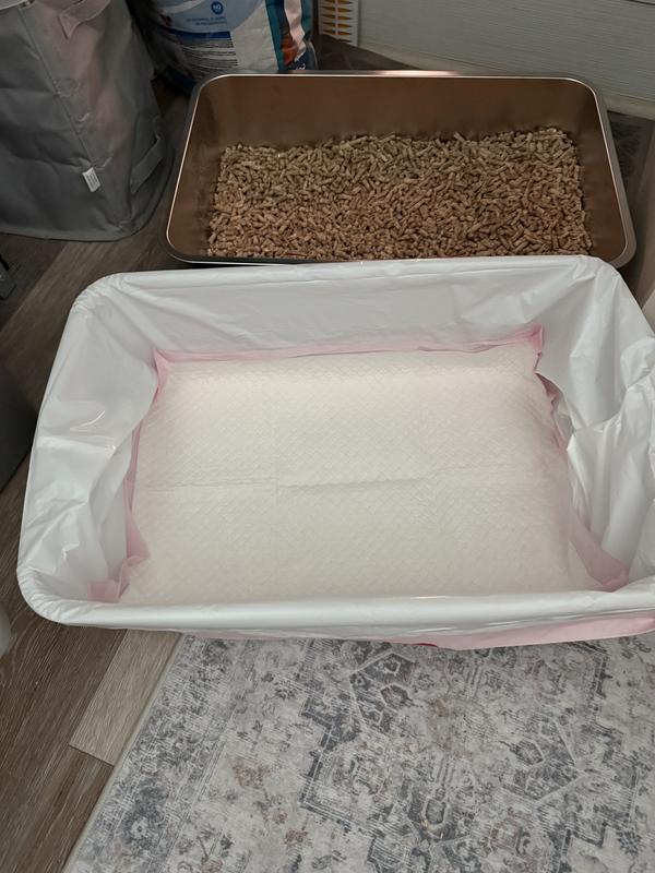 All set up and ready and showing how I line the bottom area. Makes it very easy to clean up.