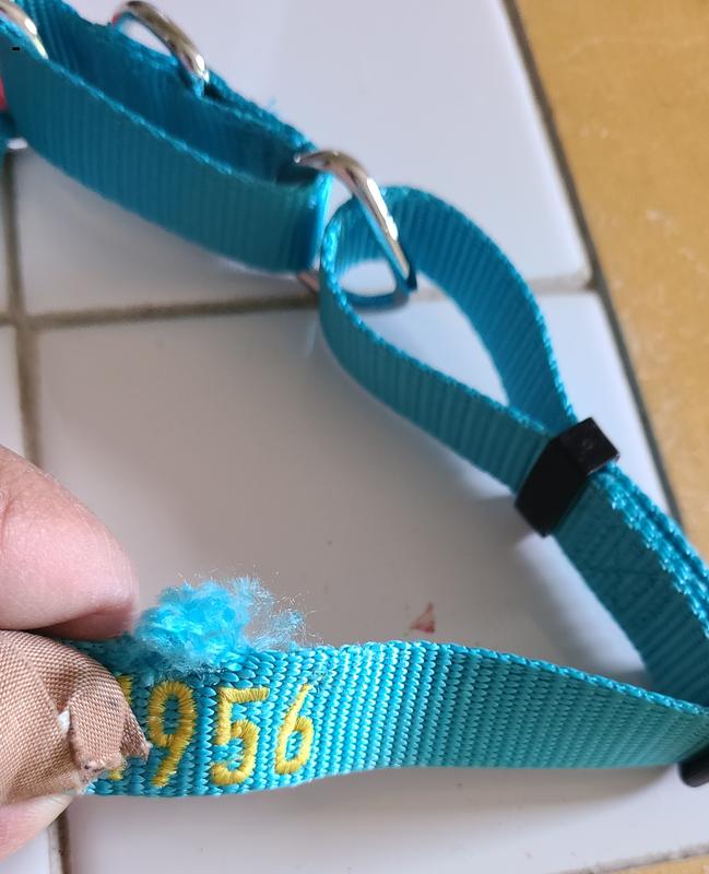 Its fraying?!