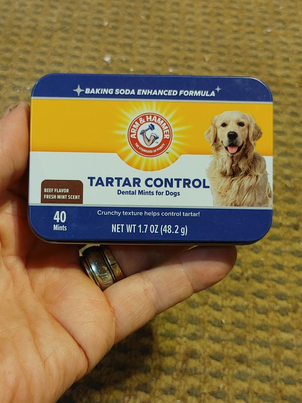 Arm and hammer outlet dog mints