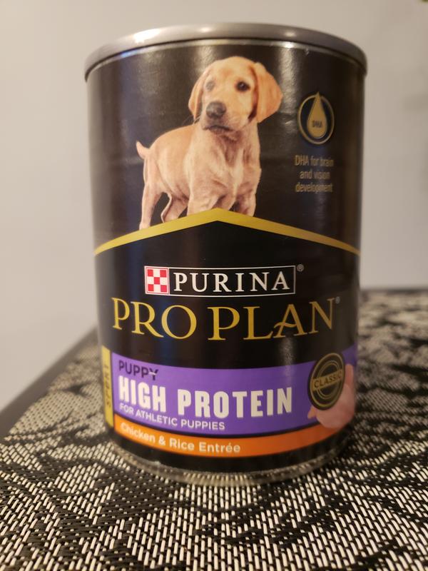 PURINA PRO PLAN Sport Puppy High Protein Chicken & Rice Wet Dog Food ...