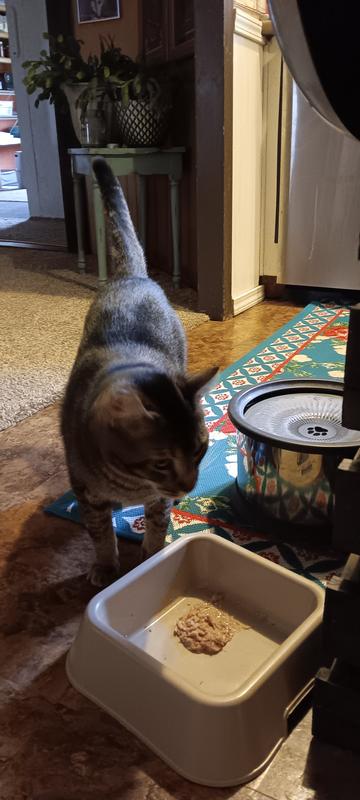 Fred licking his lips!