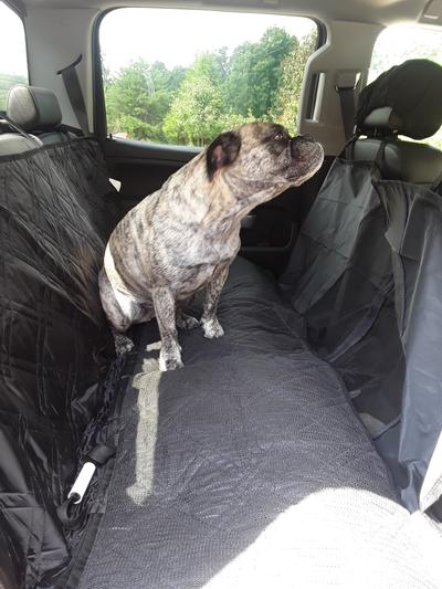 Dog Car Seat Cover Hammock with Premium Mesh Window – Meadowlark®