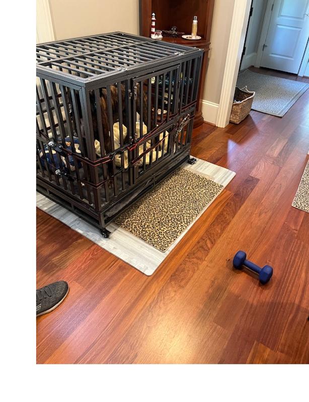 We started with two 500lb. truck straps after he broke out 3 times. He's a 55lb boxer.