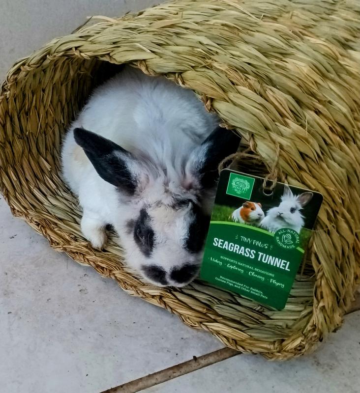 Sista F days, I like!